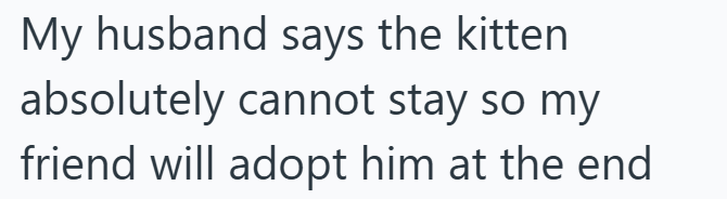My husband says the kitten absolutely cannot stay so my friend will adopt him at the end