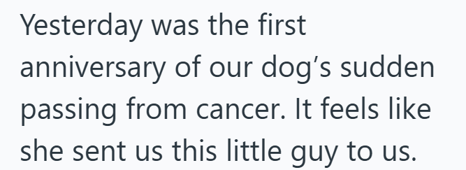 Yesterday was the first anniversary of our dog's sudden passing from cancer. It feels like she sent us this little guy to us.