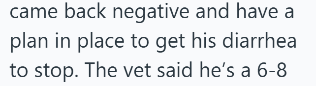 came back negative and have a plan in place to get his diarrhea to stop. The vet said he's a 6-8