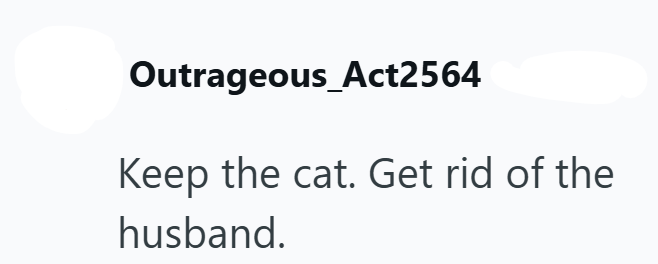 Outrageous_Act2564 Keep the cat. Get rid of the husband.