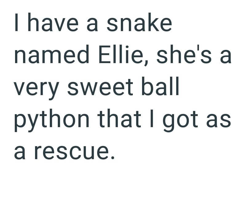 I have a snake named Ellie, she's a very sweet ball python that I got as a rescue.