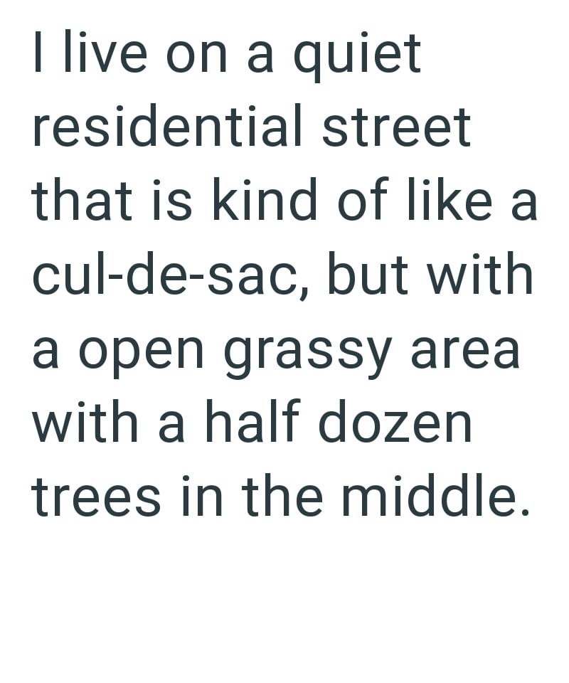 I live on a quiet residential street that is kind of like a cul-de-sac, but with a open grassy area with a half dozen trees in the middle.