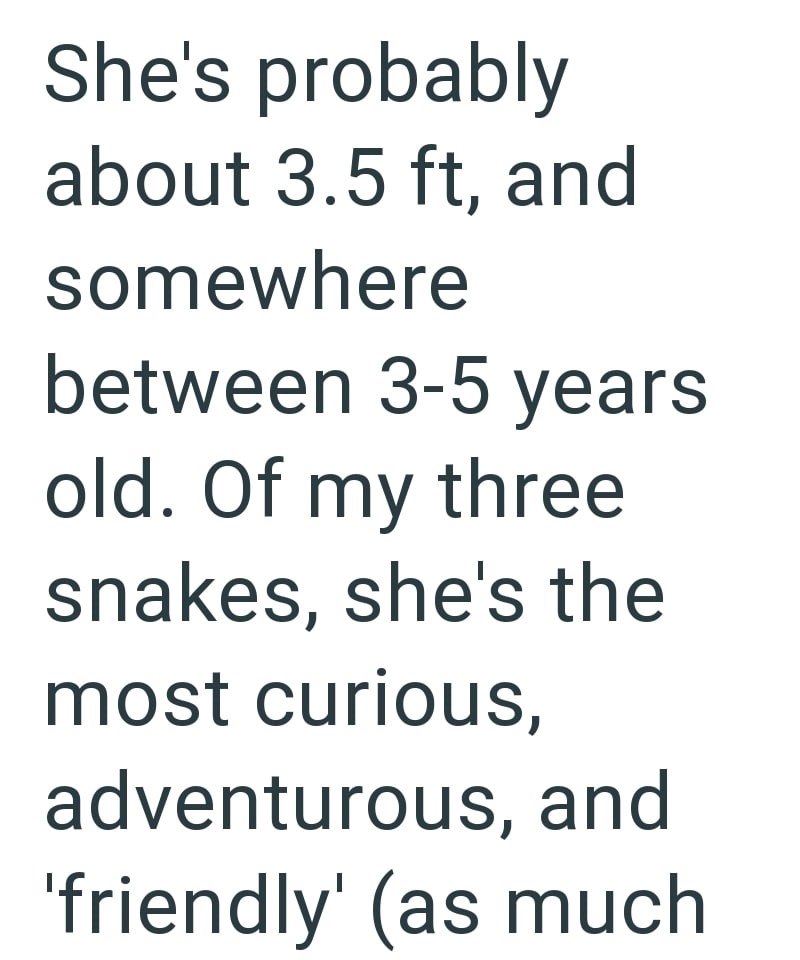 She's probably about 3.5 ft, and somewhere between 3-5 years old. Of my three snakes, she's the most curious, adventurous, and 'friendly' (as much