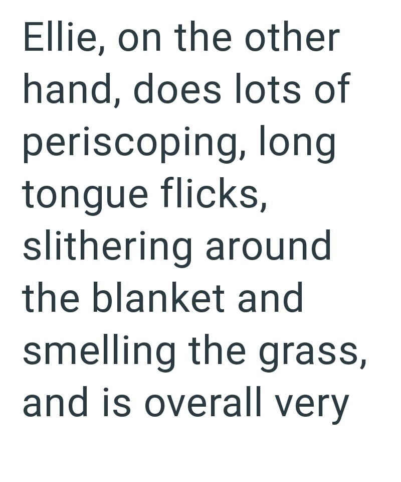 Ellie, on the other hand, does lots of periscoping, long tongue flicks, slithering around the blanket and smelling the grass, and is overall very