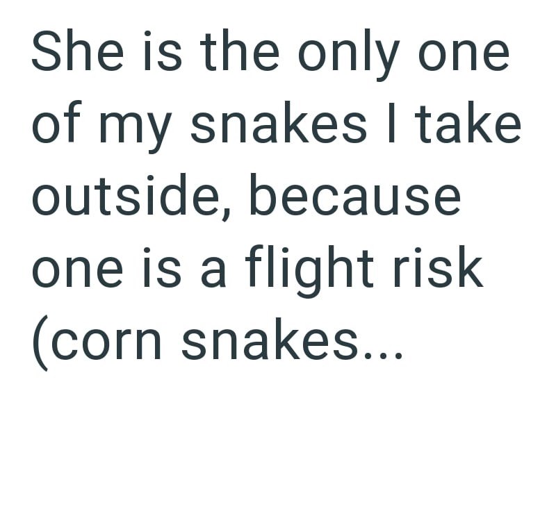 She is the only one of my snakes I take outside, because one is a flight risk (corn snakes...