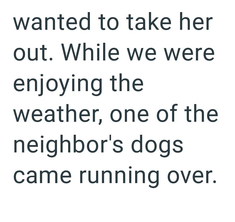 wanted to take her out. While we were enjoying the weather, one of the neighbor's dogs came running over.