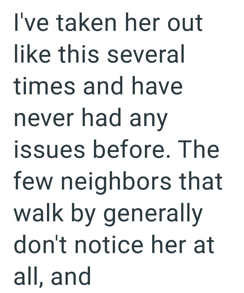 I've taken her out like this several times and have never had any issues before. The few neighbors that walk by generally don't notice her at all, and
