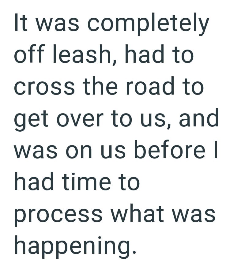 It was completely off leash, had to cross the road to get over to us, and was on us before I had time to process what was happening.