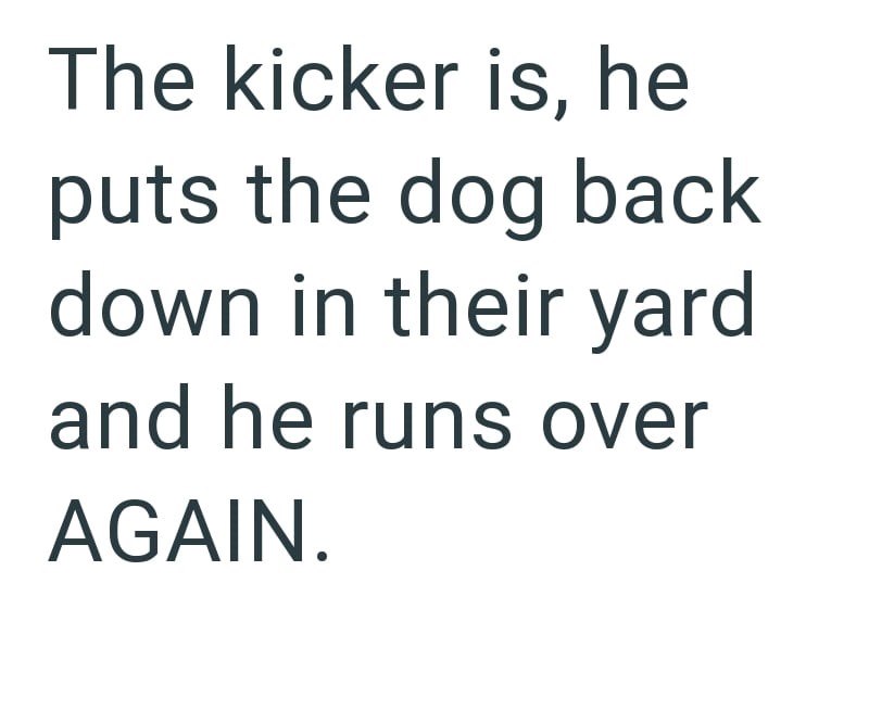 The kicker is, he puts the dog back down in their yard and he runs over AGAIN.
