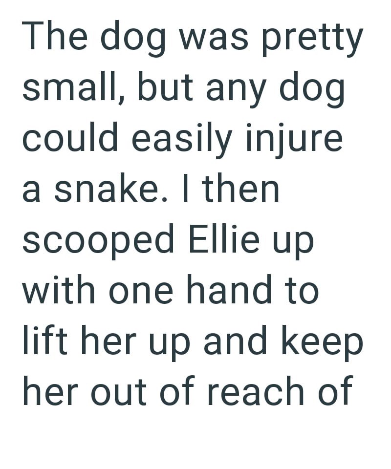 The dog was pretty small, but any dog could easily injure a snake. I then scooped Ellie up with one hand to lift her up and keep her out of reach of
