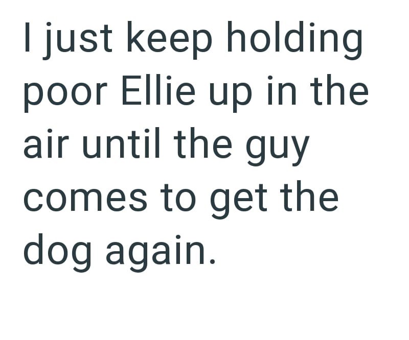 I just keep holding poor Ellie up in the air until the guy comes to get the dog again.