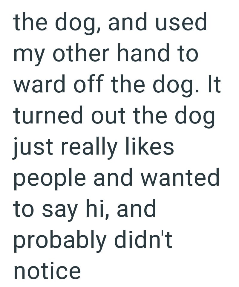 the dog, and used my other hand to ward off the dog. It turned out the dog just really likes people and wanted to say hi, and probably didn't notice