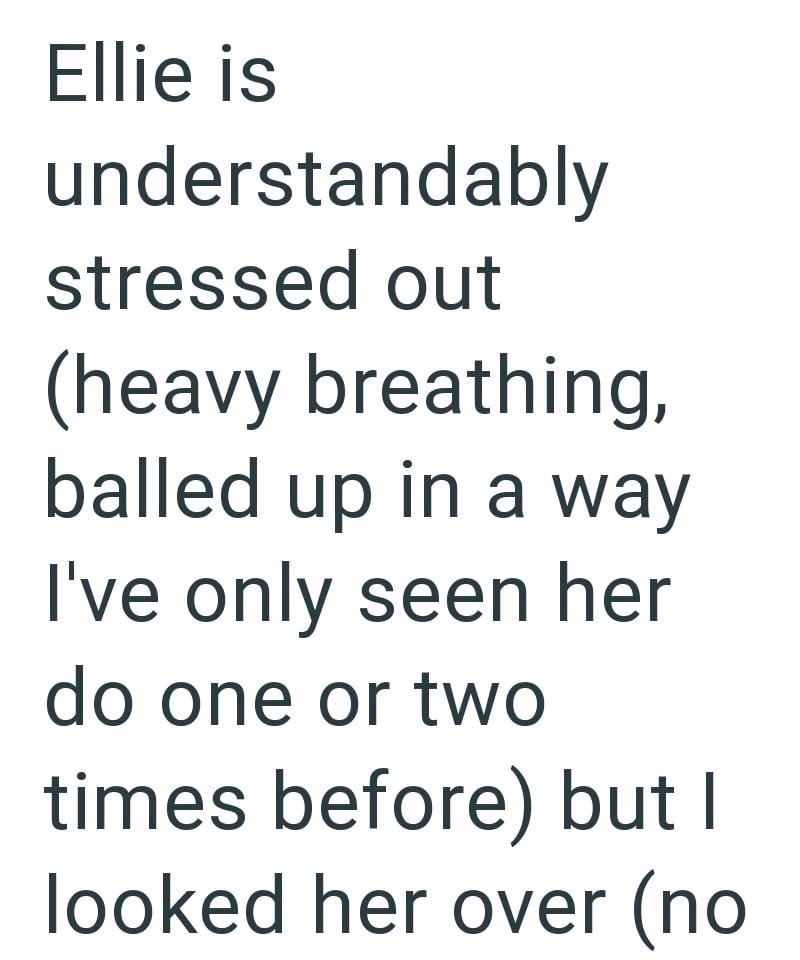 Ellie is understandably stressed out (heavy breathing, balled up in a way I've only seen her do one or two times before) but I looked her over (no