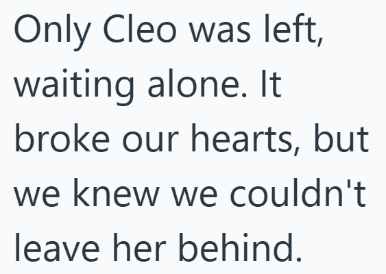 Only Cleo was left, waiting alone. It broke our hearts, but we knew we couldn't leave her behind.