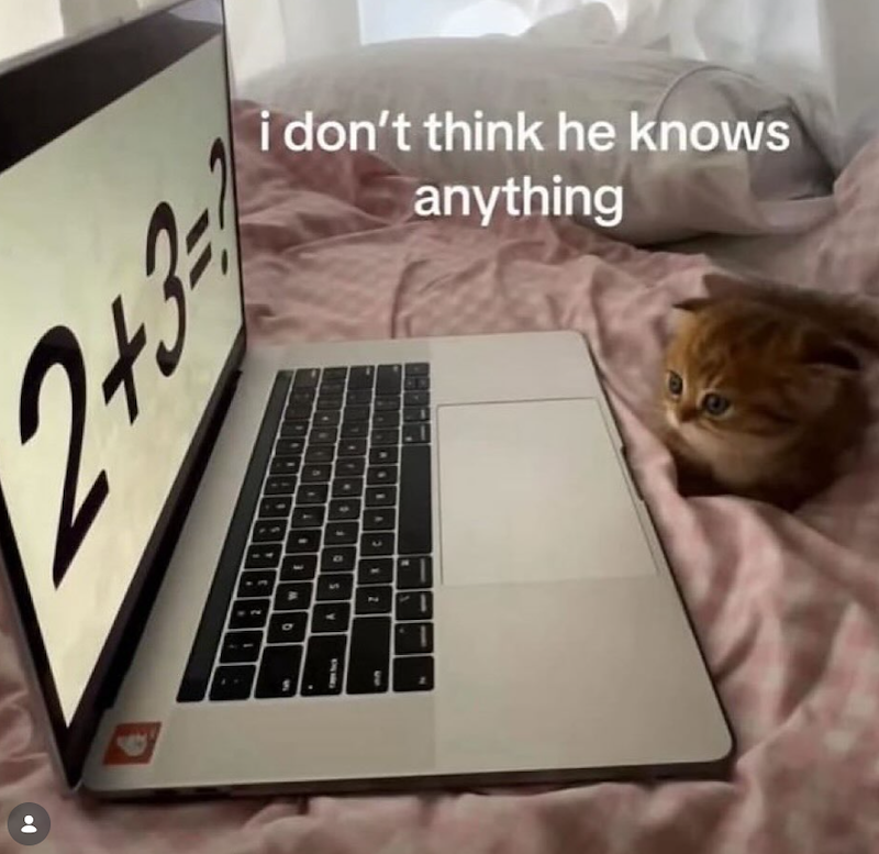 2+3 i don't think he knows anything D A O S 3 2