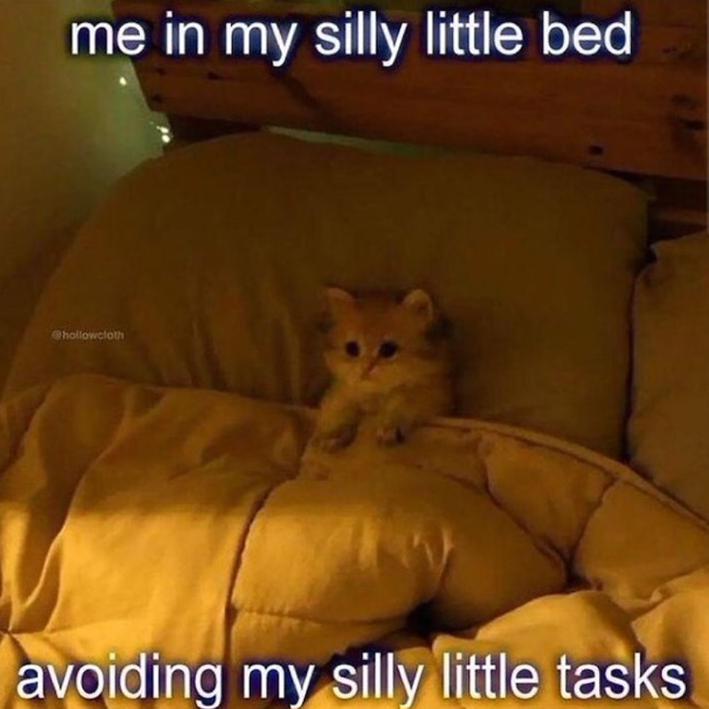 me in my silly little bed @hollowcloth avoiding my silly little tasks