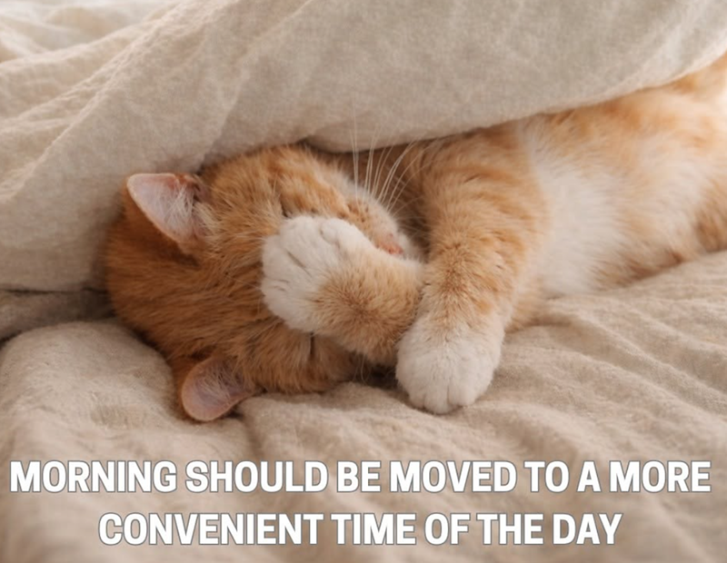 MORNING SHOULD BE MOVED TO A MORE CONVENIENT TIME OF THE DAY
