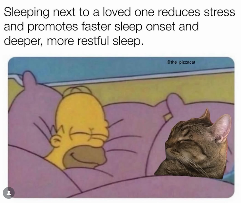 Sleeping next to a loved one reduces stress and promotes faster sleep onset and deeper, more restful sleep. @the_pizzacat