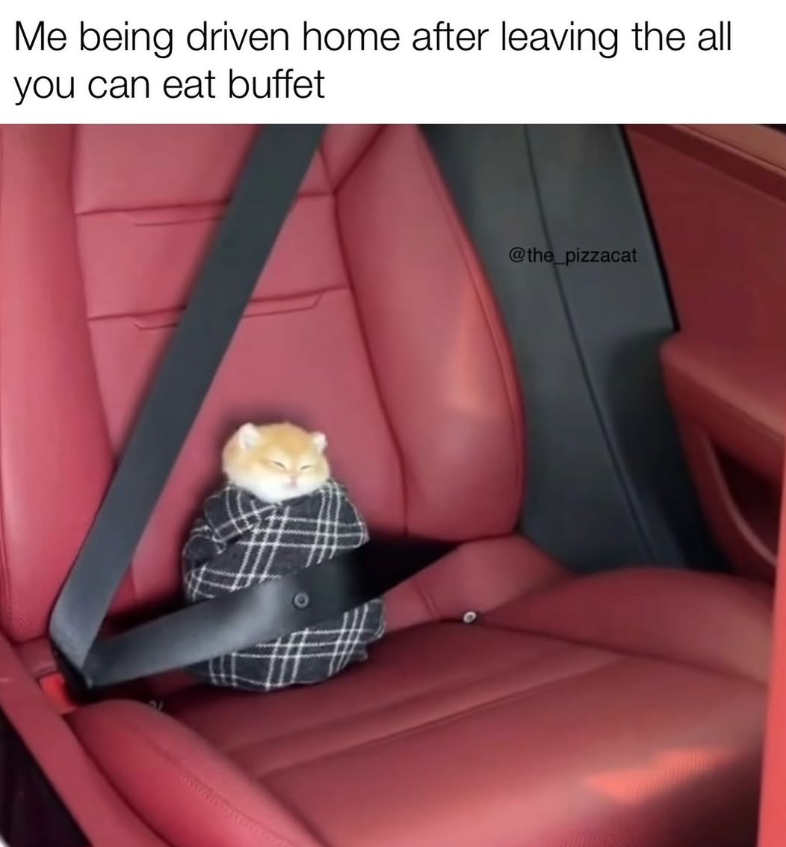 Me being driven home after leaving the all you can eat buffet @the_pizzacat