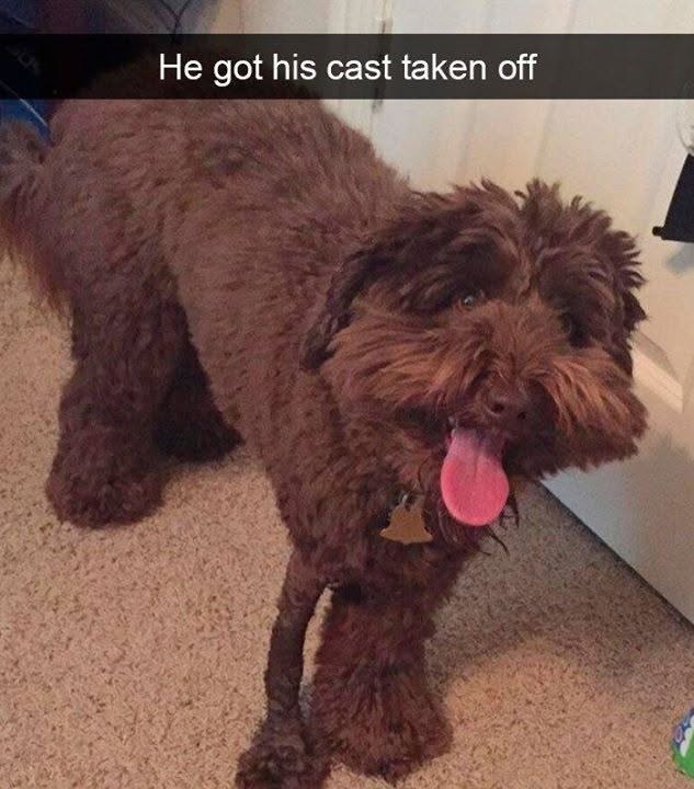 He got his cast taken off