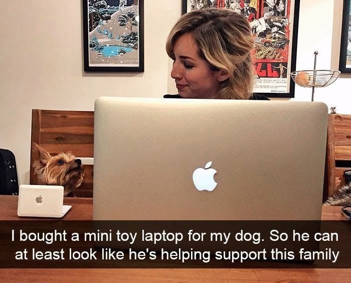 I bought a mini toy laptop for my dog. So he can at least look like he's helping support this family