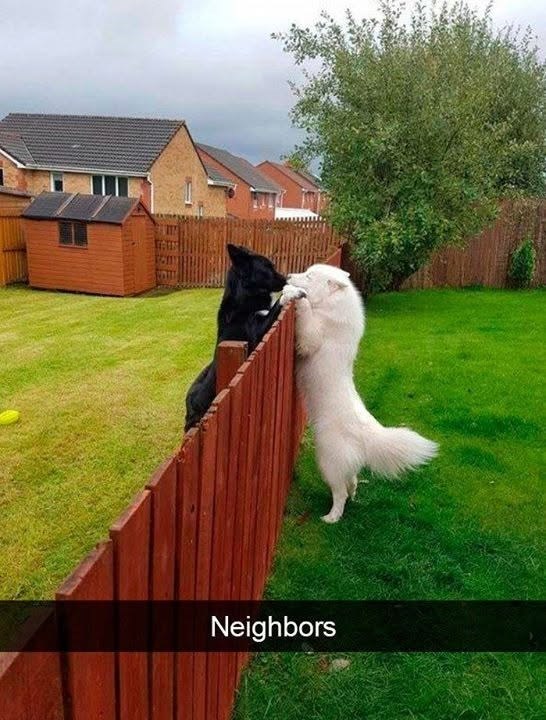 Neighbors