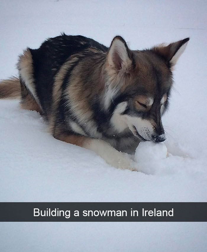 Building a snowman in Ireland