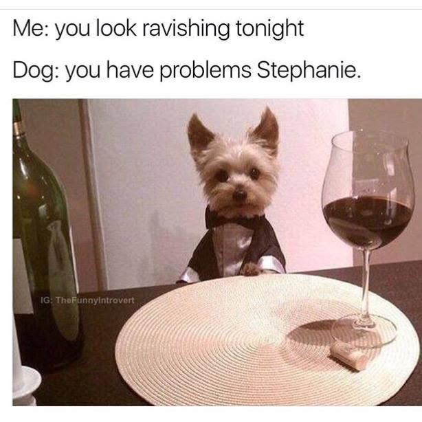 Me: you look ravishing tonight Dog: you have problems Stephanie. IG: TheFunnyIntrovert