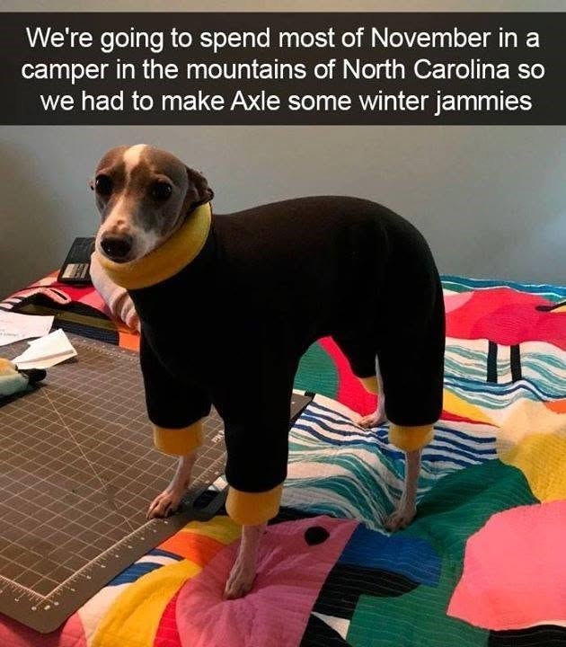 We're going to spend most of November in a camper in the mountains of North Carolina so we had to make Axle some winter jammies