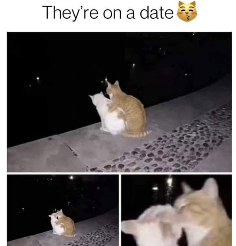 They're on a date