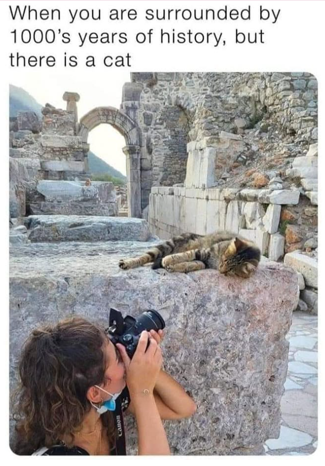 When you are surrounded by 1000's years of history, but there is a cat поне