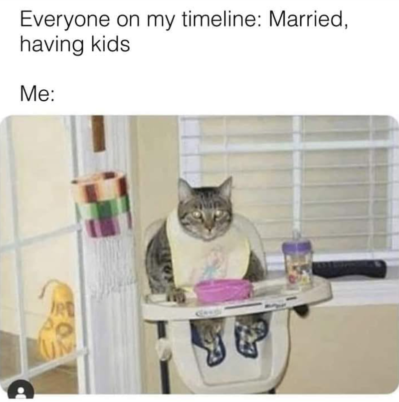 Everyone on my timeline: Married, having kids Me: