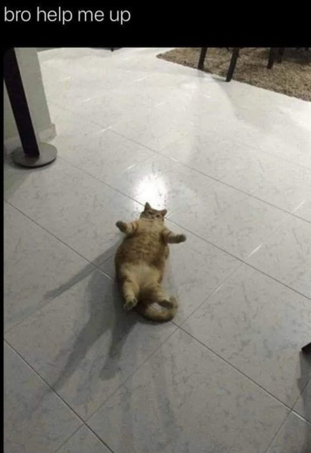 bro help me up