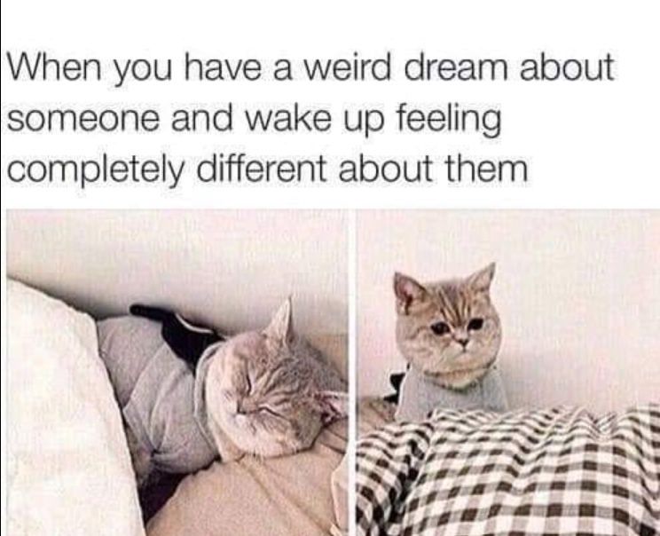 When you have a weird dream about someone and wake up feeling completely different about them