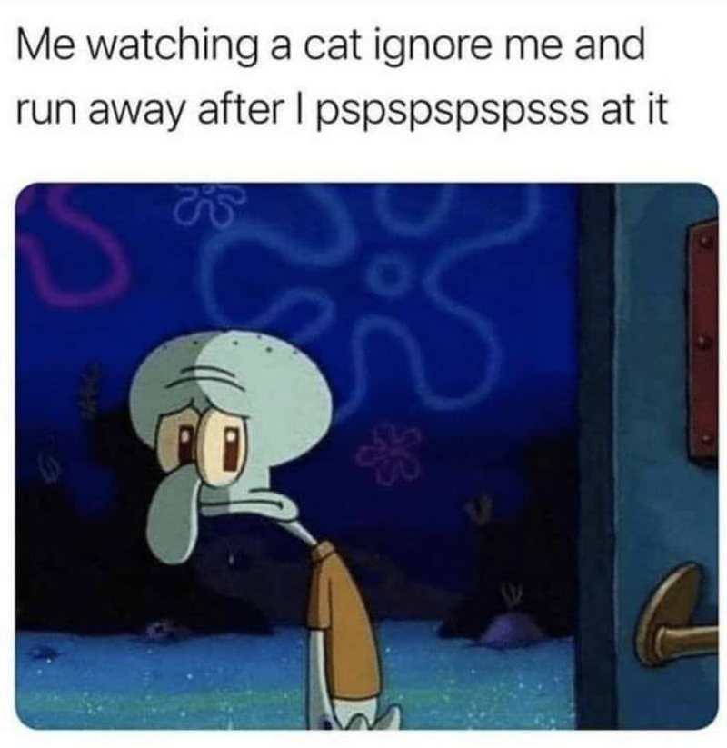Me watching a cat ignore me and run away after I pspspspspsss at it S