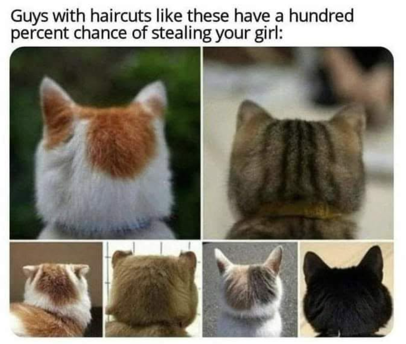 Guys with haircuts like these have a hundred percent chance of stealing your girl: