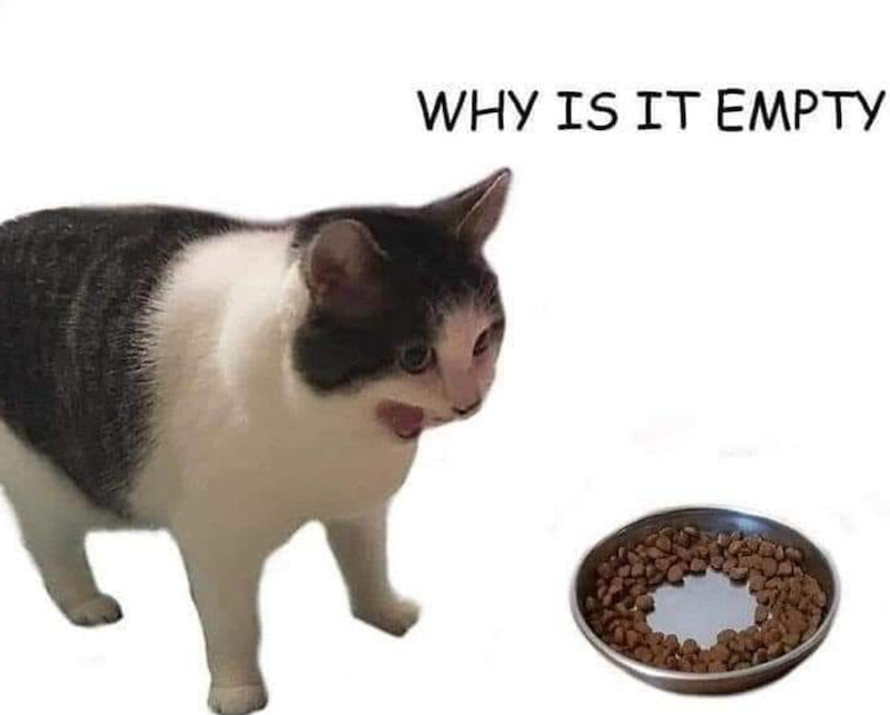 WHY IS IT EMPTY
