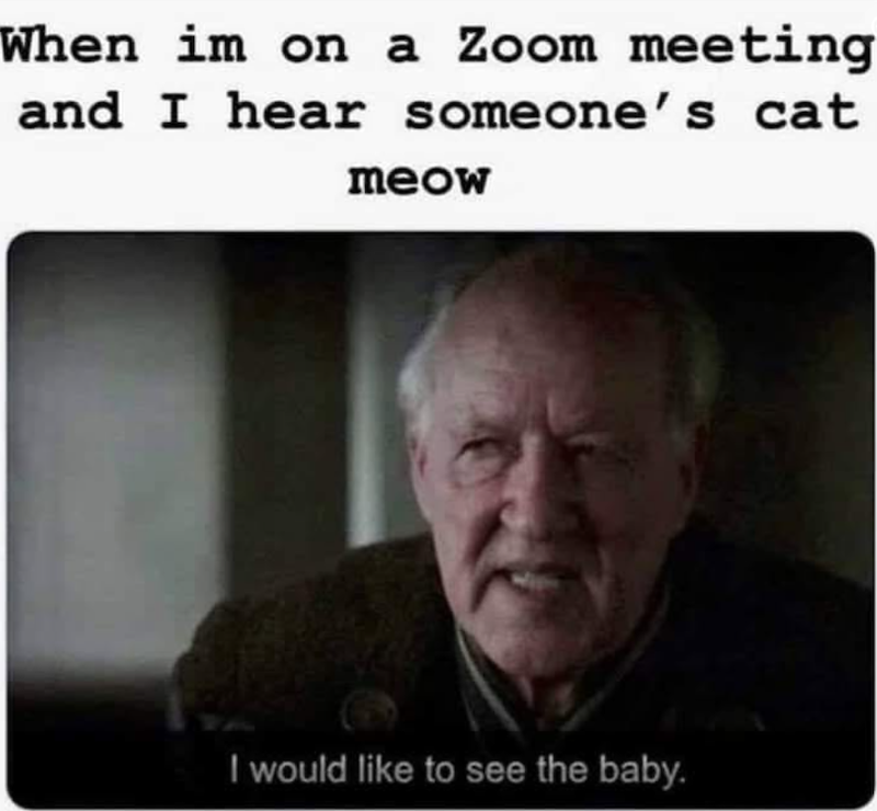 When im on a Zoom meeting and I hear someone's cat meow I would like to see the baby.