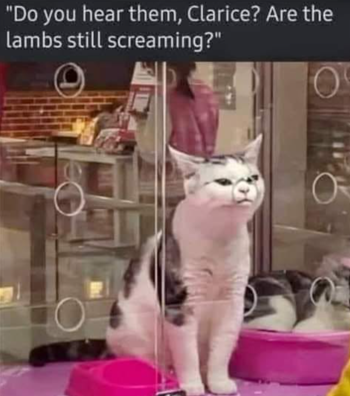"Do you hear them, Clarice? Are the lambs still screaming?"