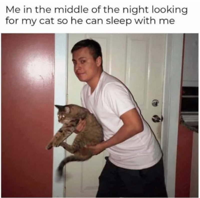 Me in the middle of the night looking for my cat so he can sleep with me