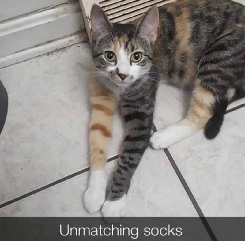 Unmatching socks
