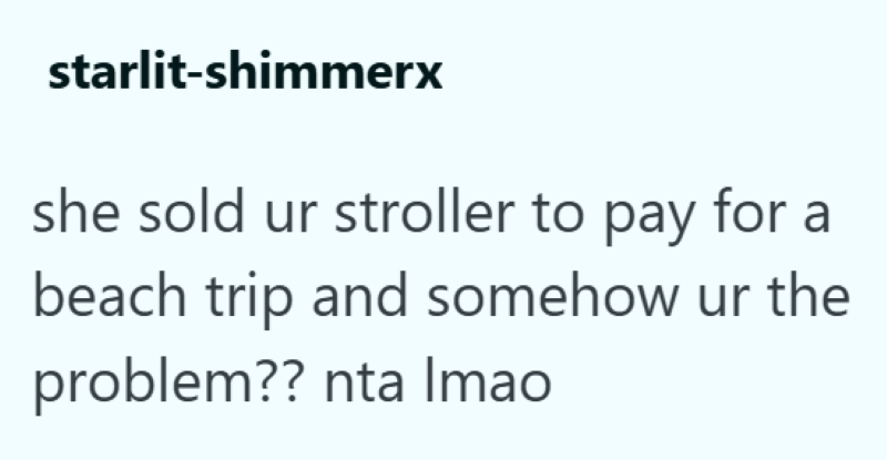 starlit-shimmerx she sold ur stroller to pay for a beach trip and somehow ur the problem?? nta Imao