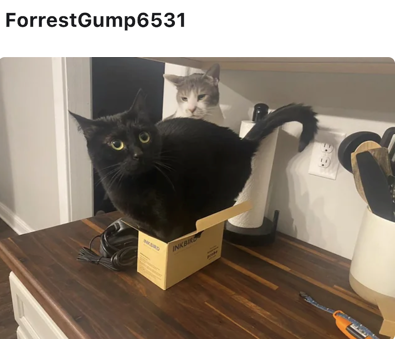 Forrest Gump6531 INKBIRD INKBIRD probe