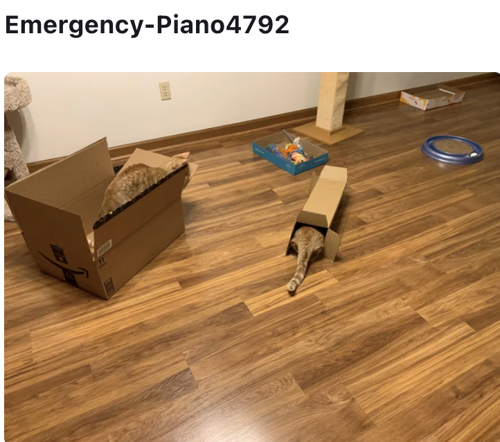 Emergency-Piano4792