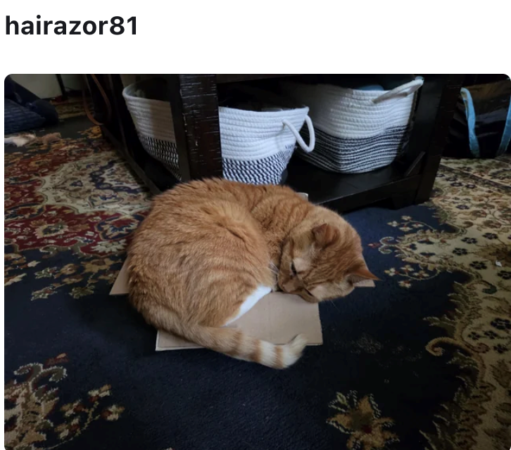 hairazor81 E