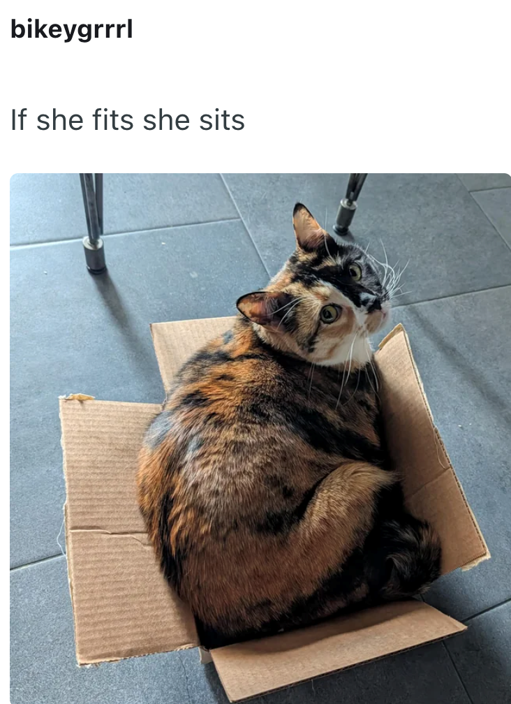 bikeygrrrl If she fits she sits