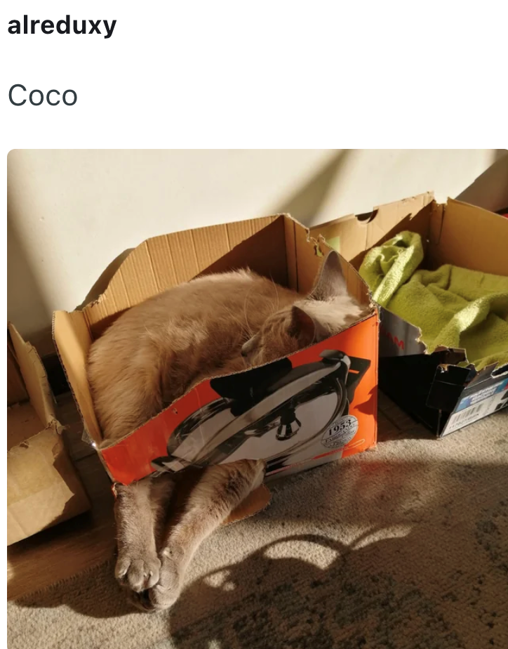 alreduxy Coco 195