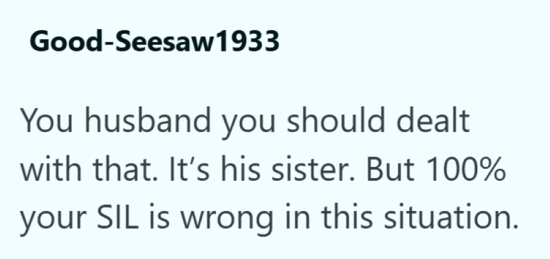 Good-Seesaw1933 You husband you should dealt with that. It's his sister. But 100% your SIL is wrong in this situation.