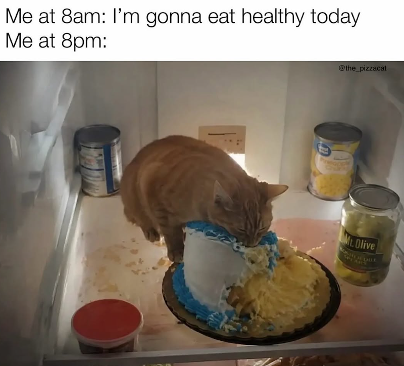 Me at 8am: I'm gonna eat healthy today Me at 8pm: @the_pizzacat Mt. Olive KOSHER DILL SPY ARS
