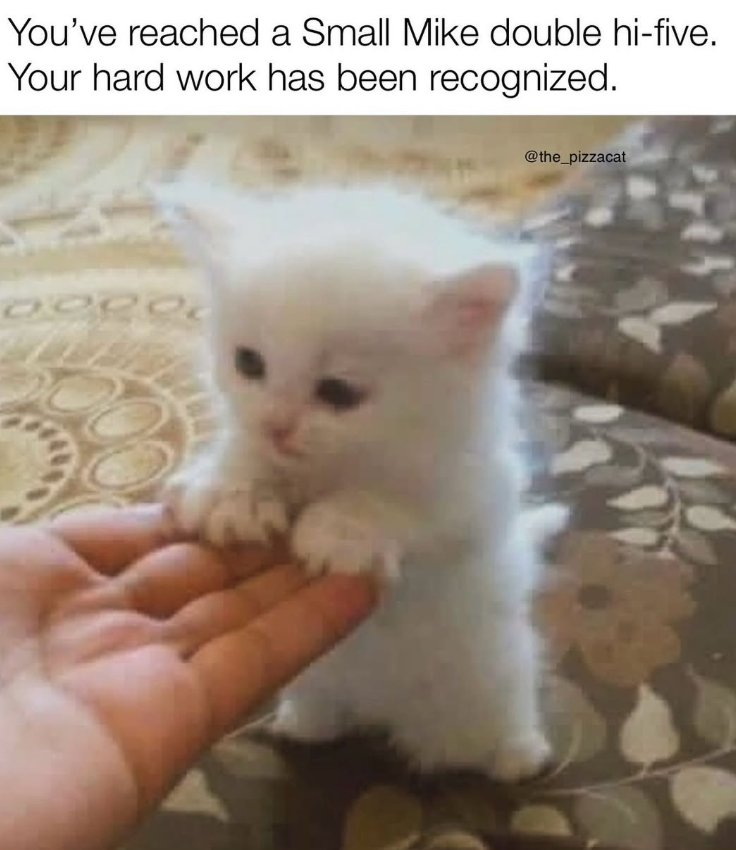 You've reached a Small Mike double hi-five. Your hard work has been recognized. DORO @the_pizzacat
